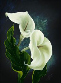 "Calla Lilly"